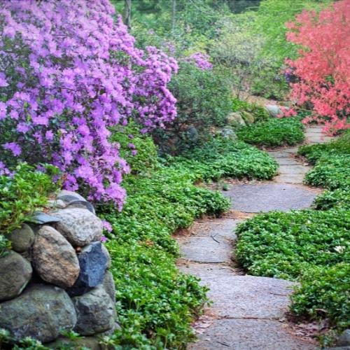 A path through a flowering garden reminds us of overcoming fear with the hope of the resurrection