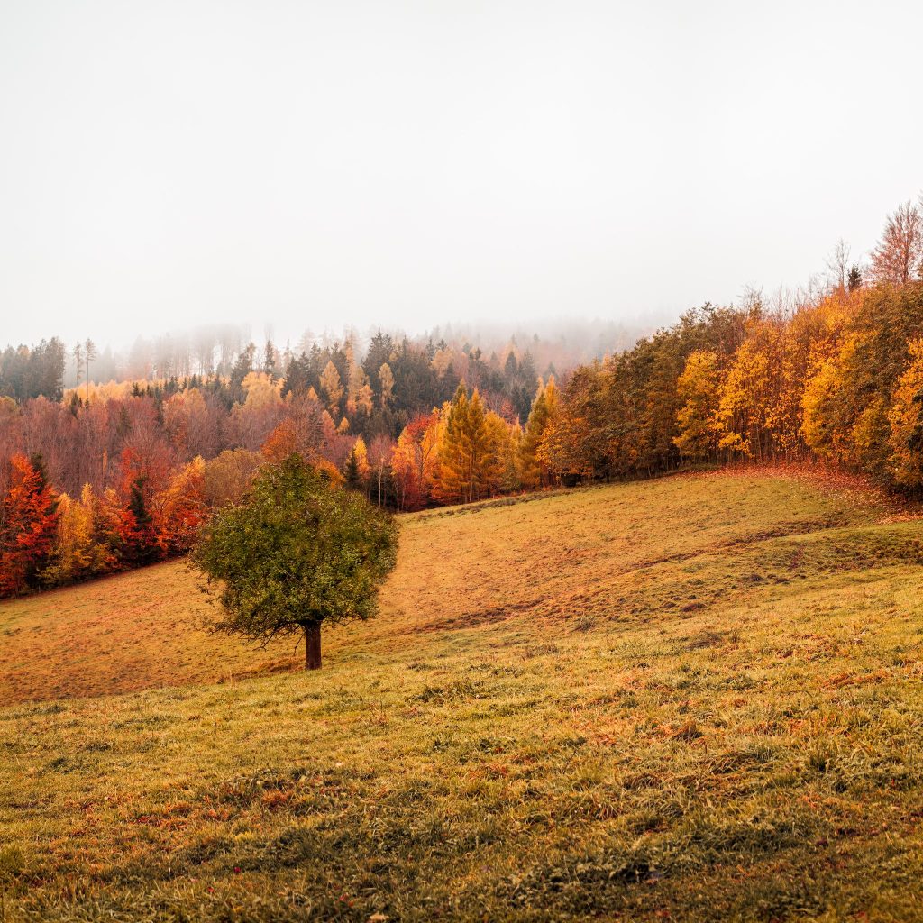 A beautiful autumn landscape reminds us of our Creator who helps us when we don't feel brave